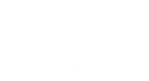 hepburn-springs-retreat-kookaburra-ridge